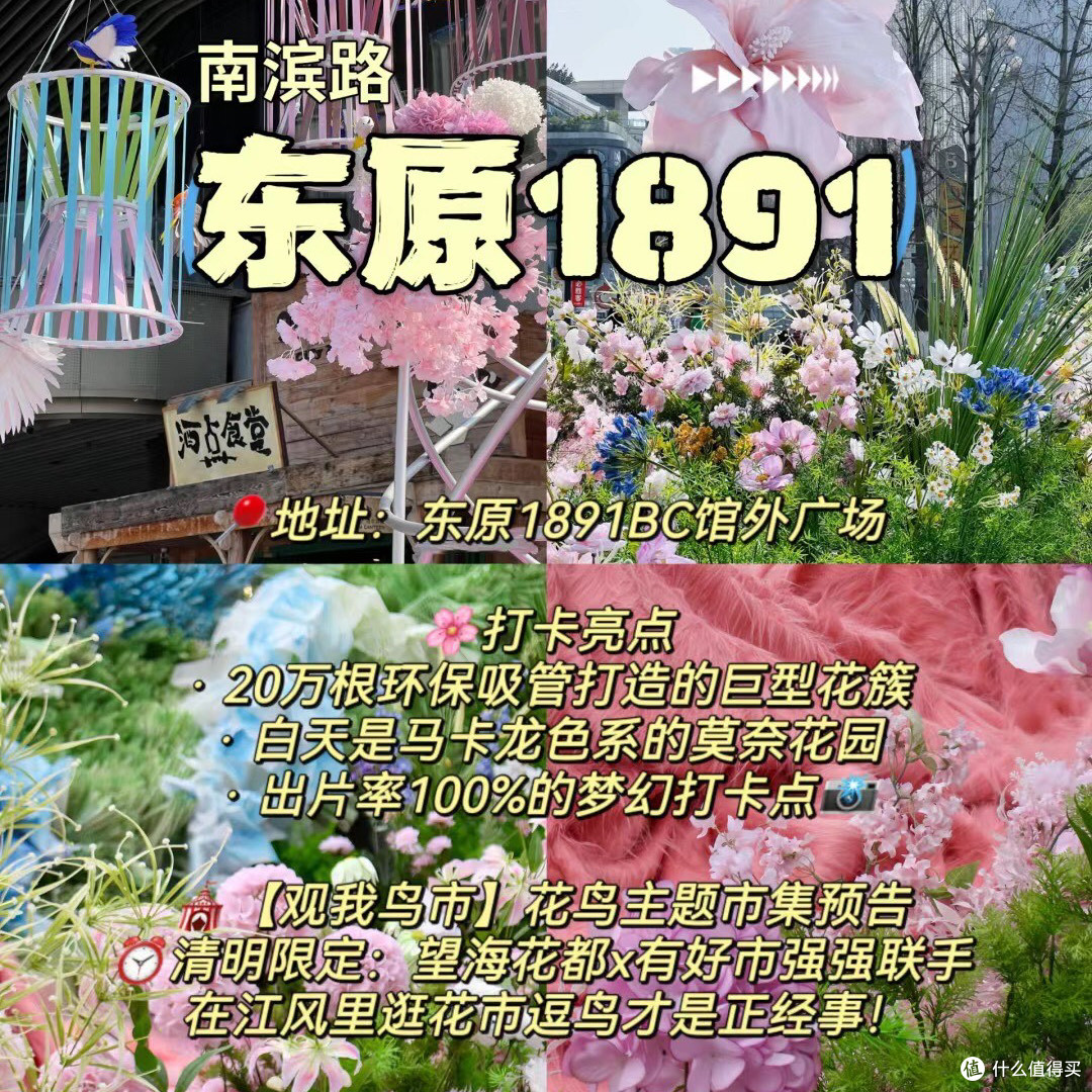 重庆春日已成花海🌷十个拍照打卡地合集!