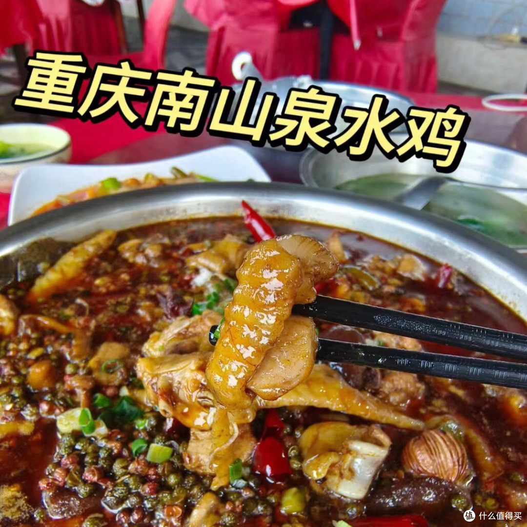 🌸重庆春日赏花地图!绝美花海打卡地!