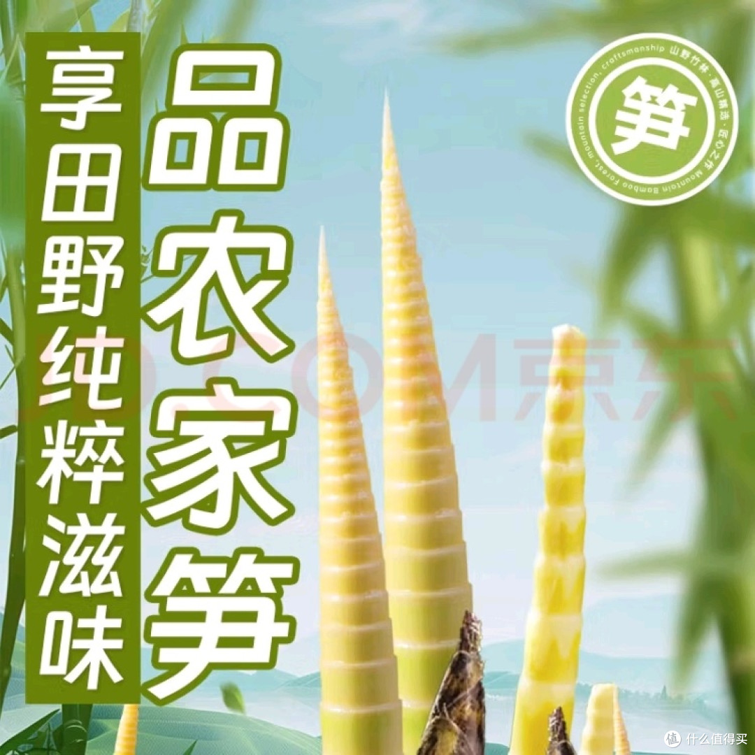 春季饮食养生真相:春笋时令美食,谣言退退退!