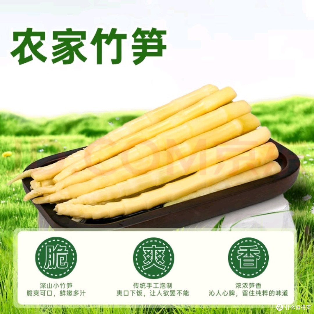 春季饮食养生真相:春笋时令美食,谣言退退退!