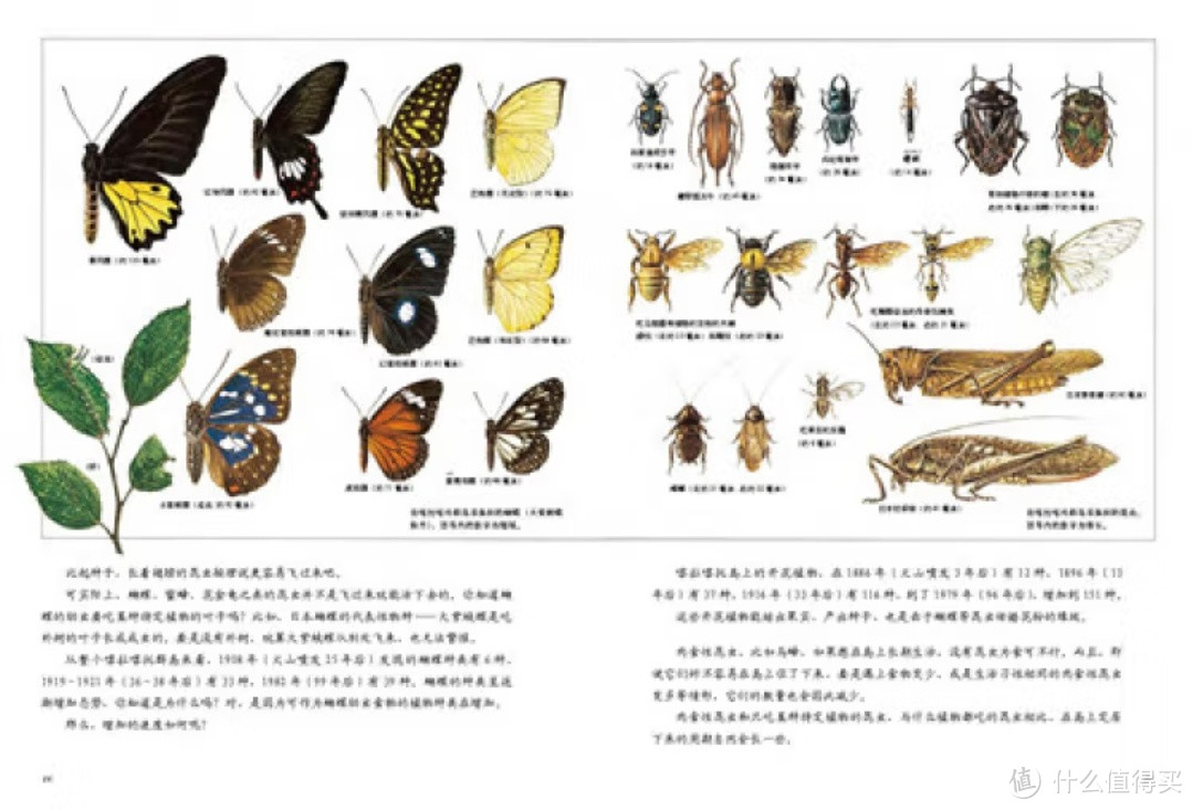 这座岛的百年变迁？