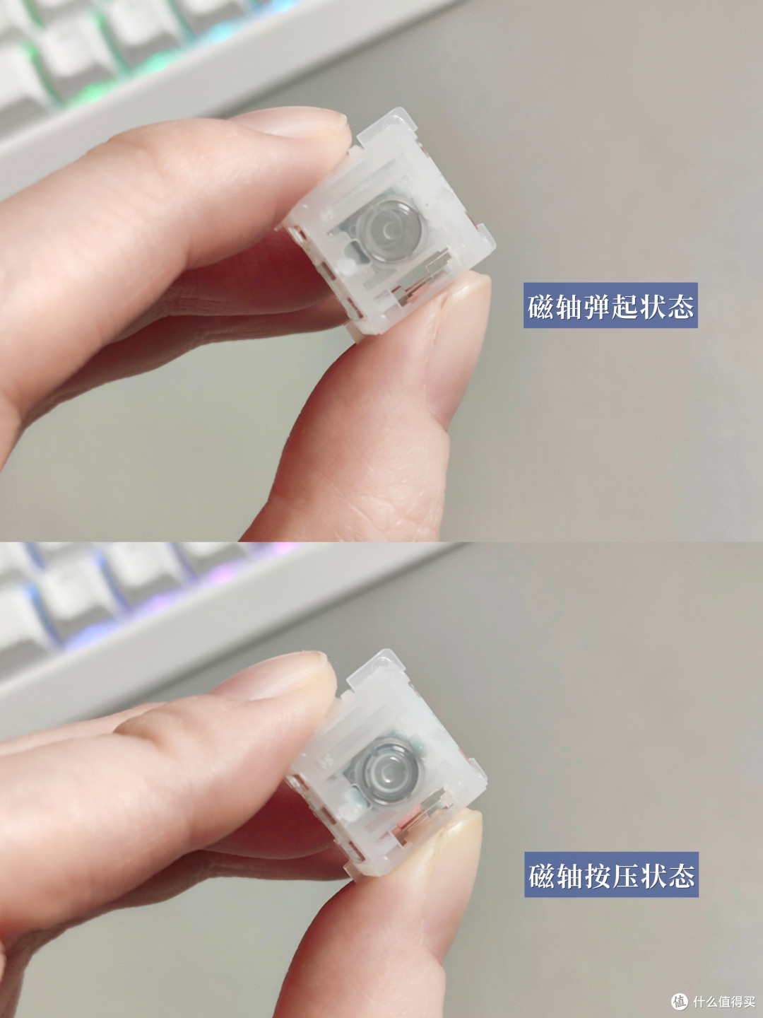 169的迈从Ace68能打瓦+码字?磁轴和机械轴到底怎么选?
