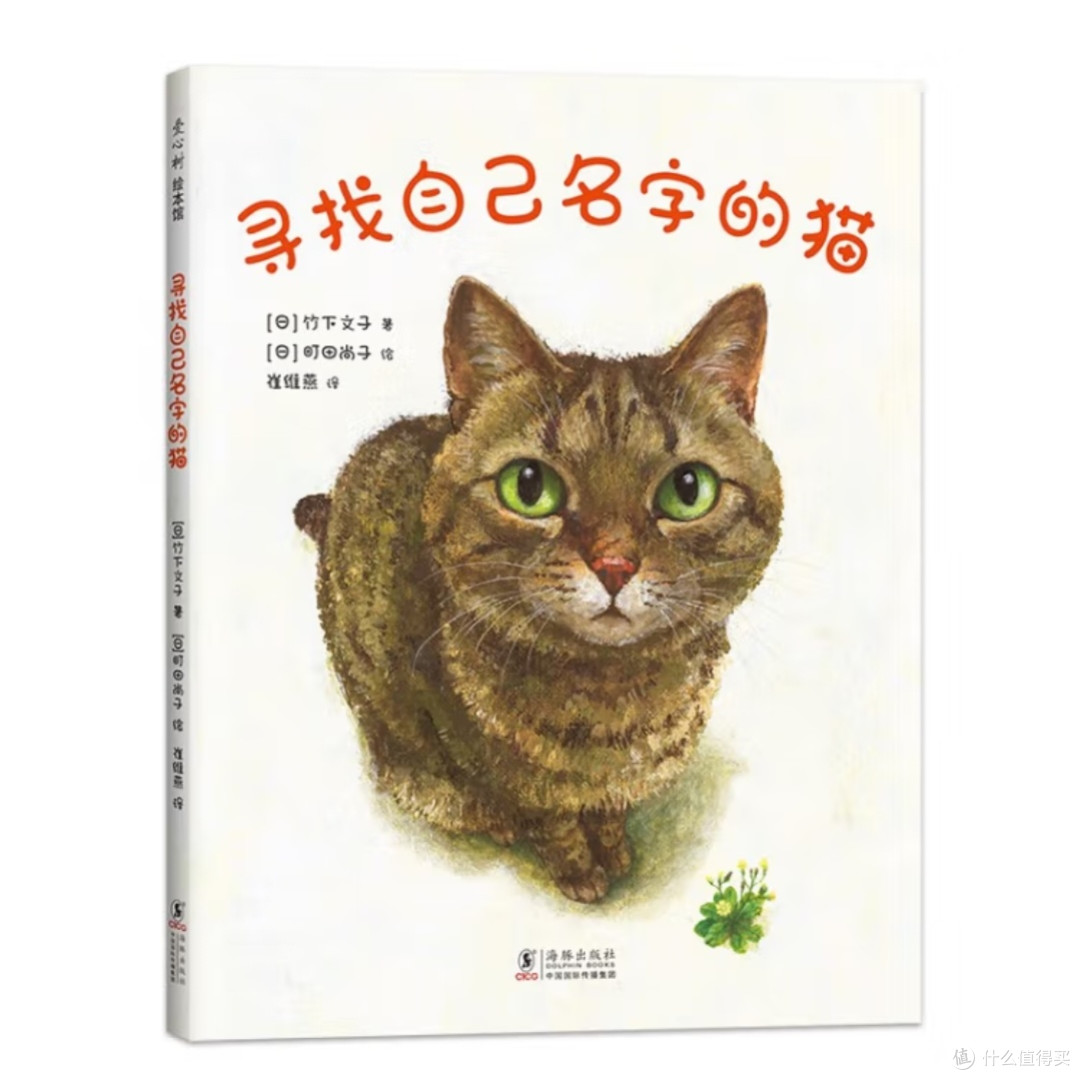 谁家的猫咪在找名字?