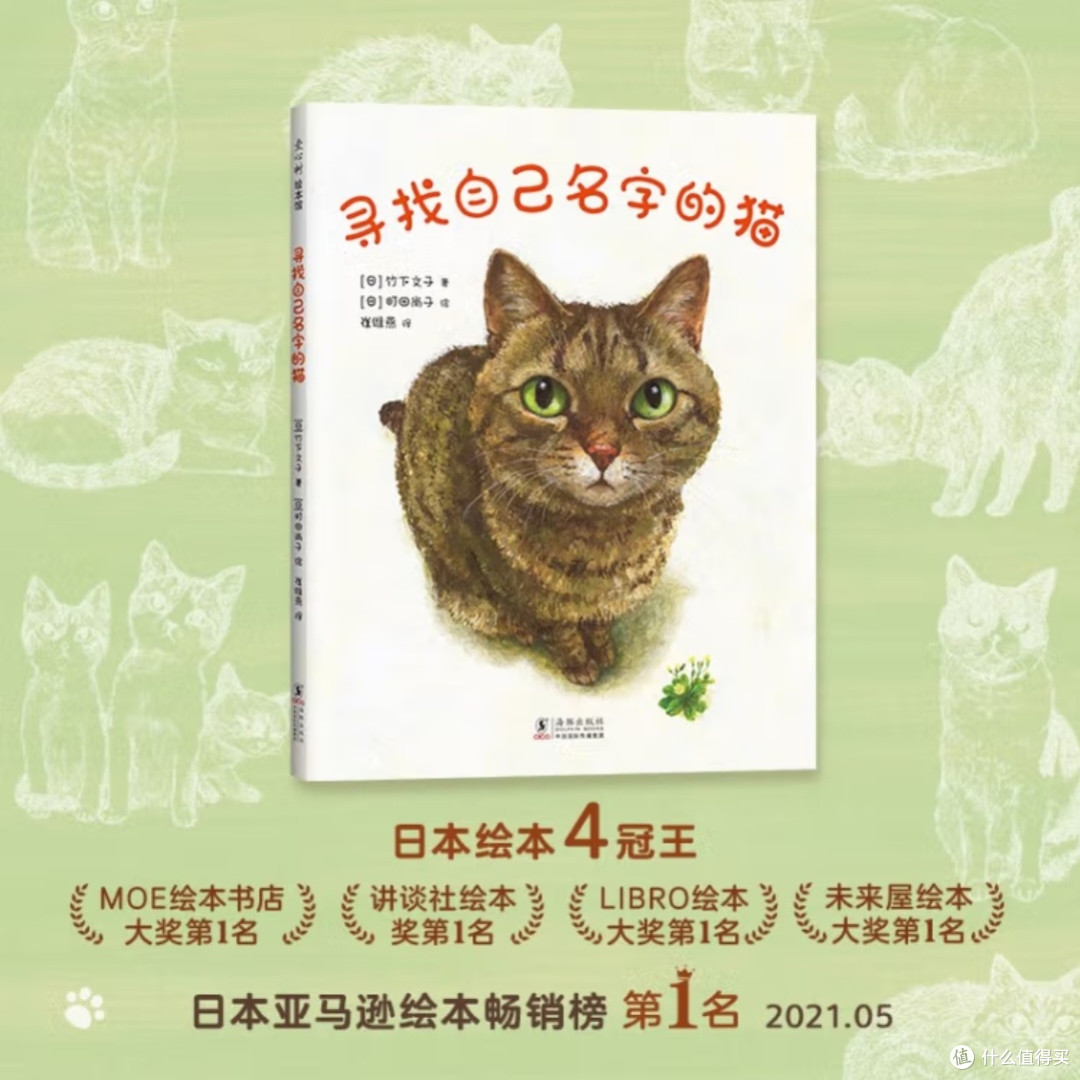 谁家的猫咪在找名字?