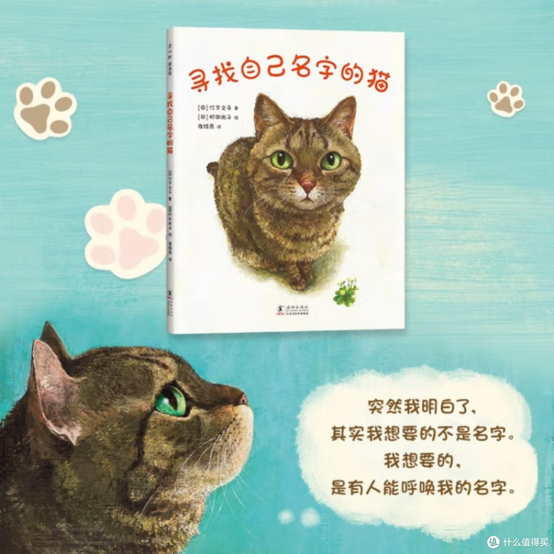 谁家的猫咪在找名字?
