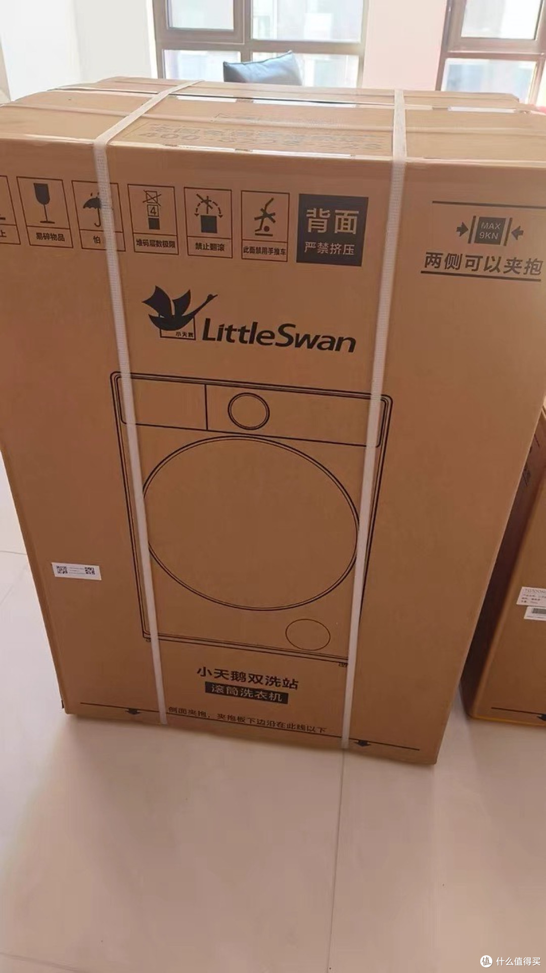 小天鹅双洗站TG100RM9ILZ：一机多能，解放双手的家居清洁神器