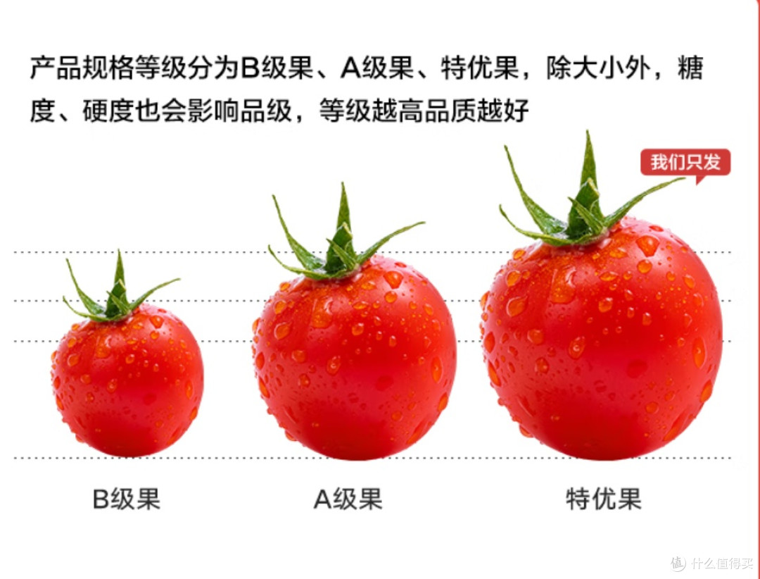 春季多食酸?真相与谣言的深度剖析