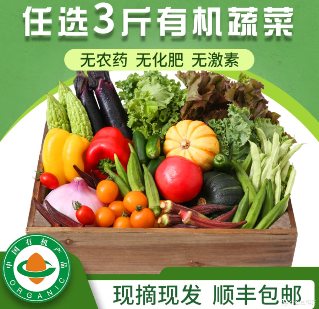 春季养生需谨慎:“春吃芽”背后的真相与谣言