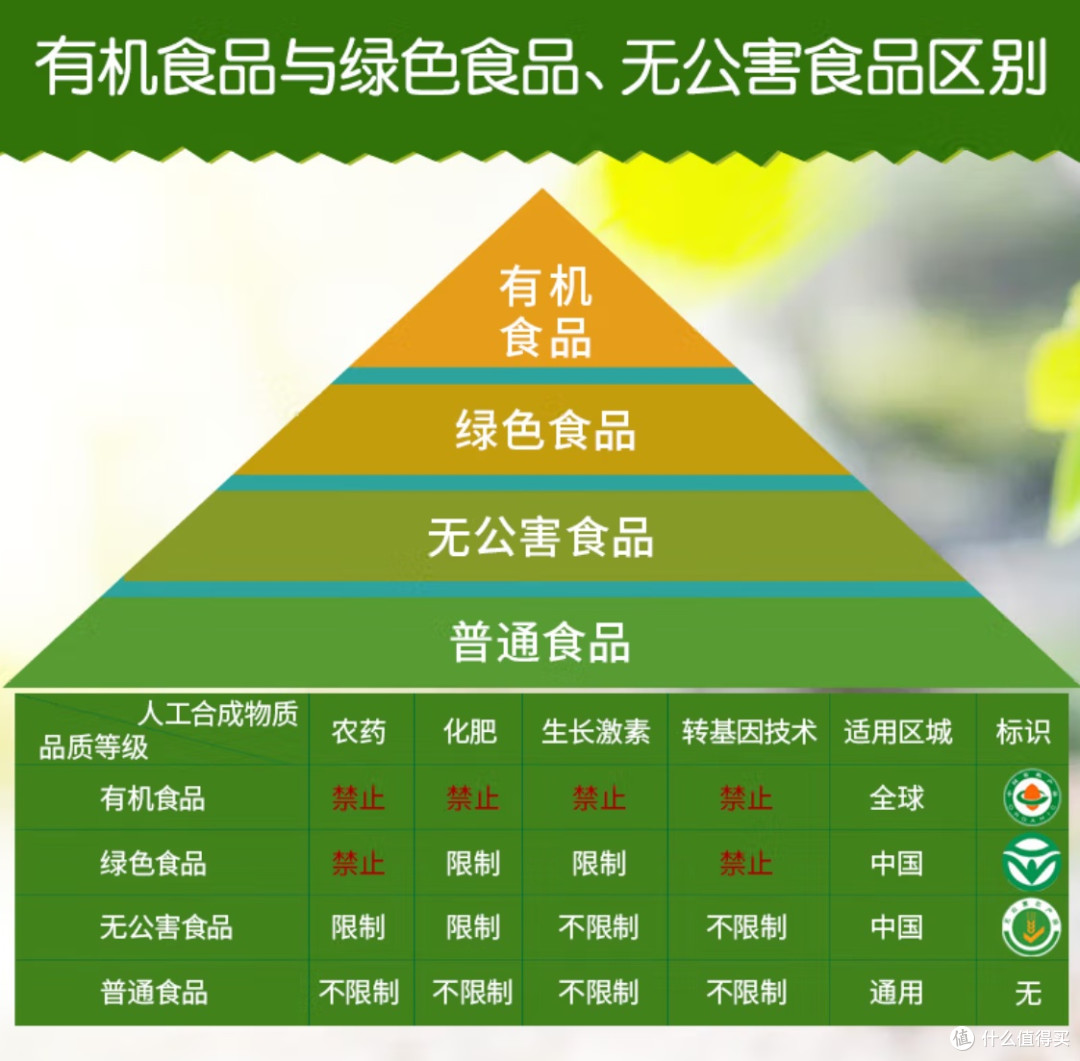 春季养生需谨慎:“春吃芽”背后的真相与谣言
