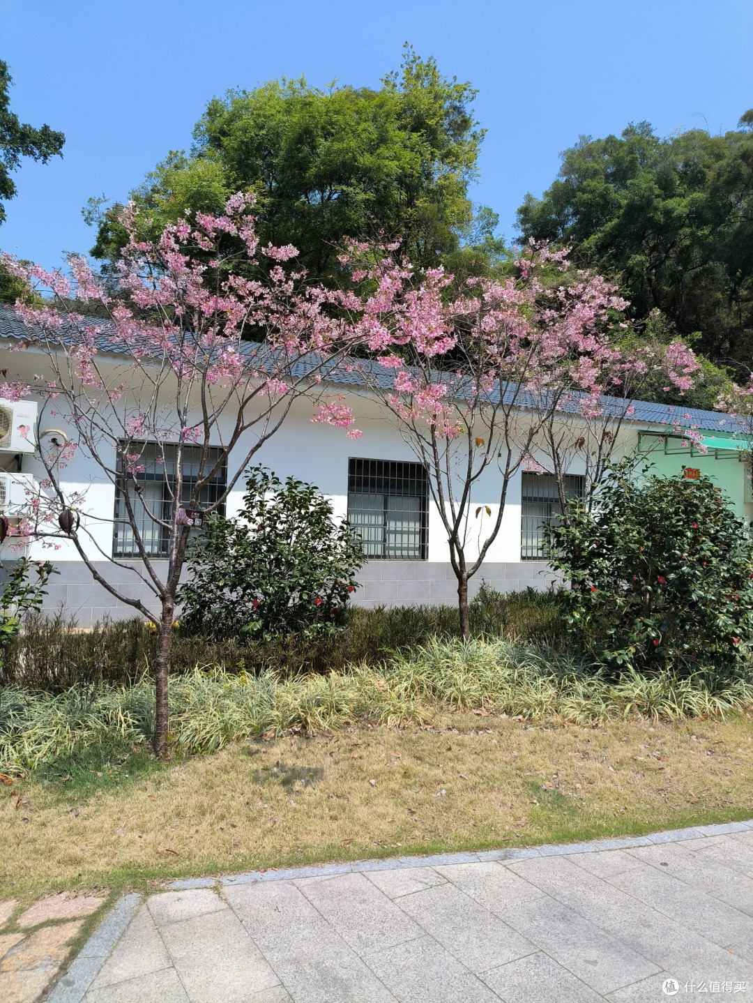 周末去万石植物园感受一下春天的气息