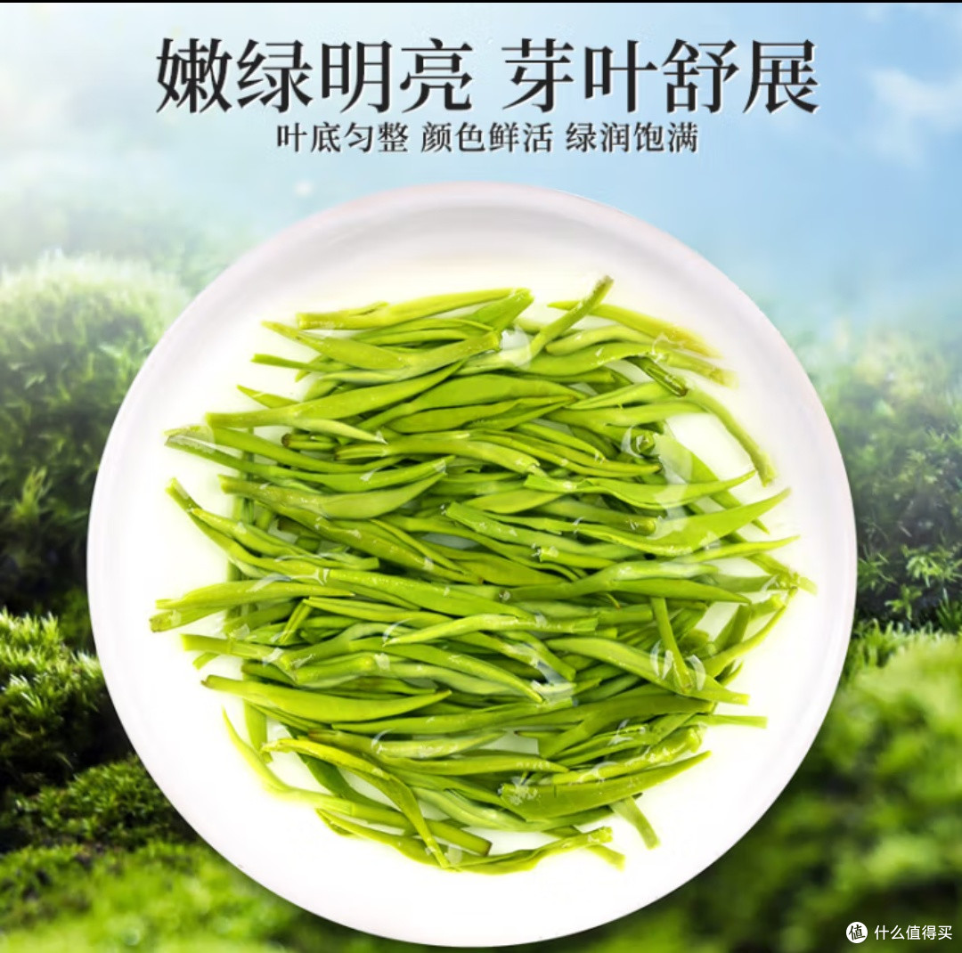 春季养生攻略:揭秘绿茶解百毒谣言,科学养生从此刻开始!
