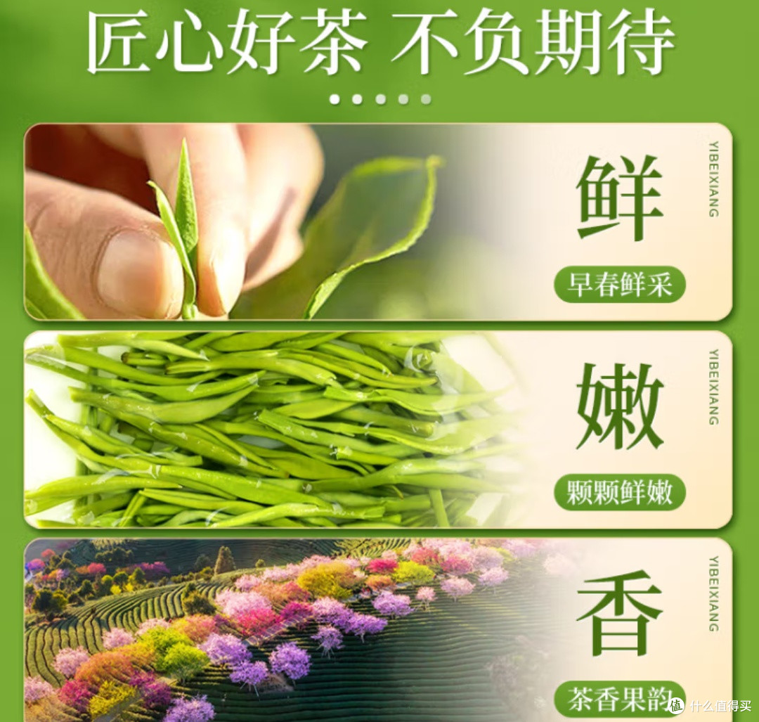 春季养生攻略:揭秘绿茶解百毒谣言,科学养生从此刻开始!