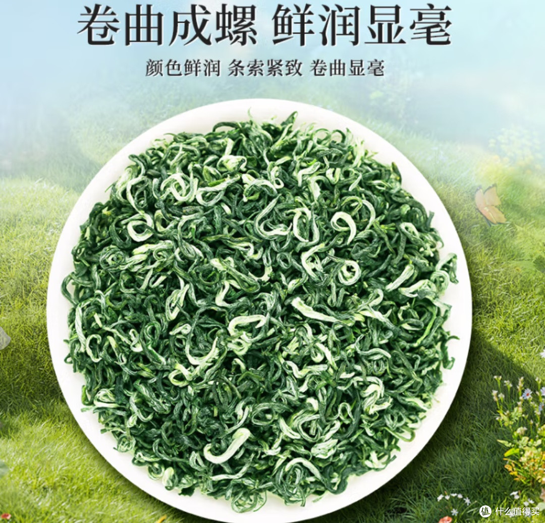 春季养生攻略:揭秘绿茶解百毒谣言,科学养生从此刻开始!
