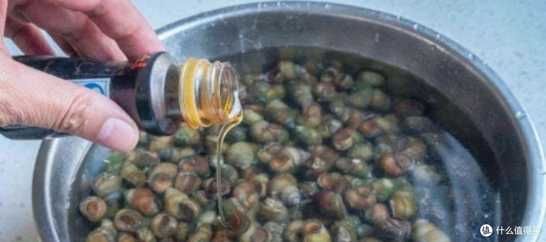 跟着春天吃,时令食谱焕新味蕾