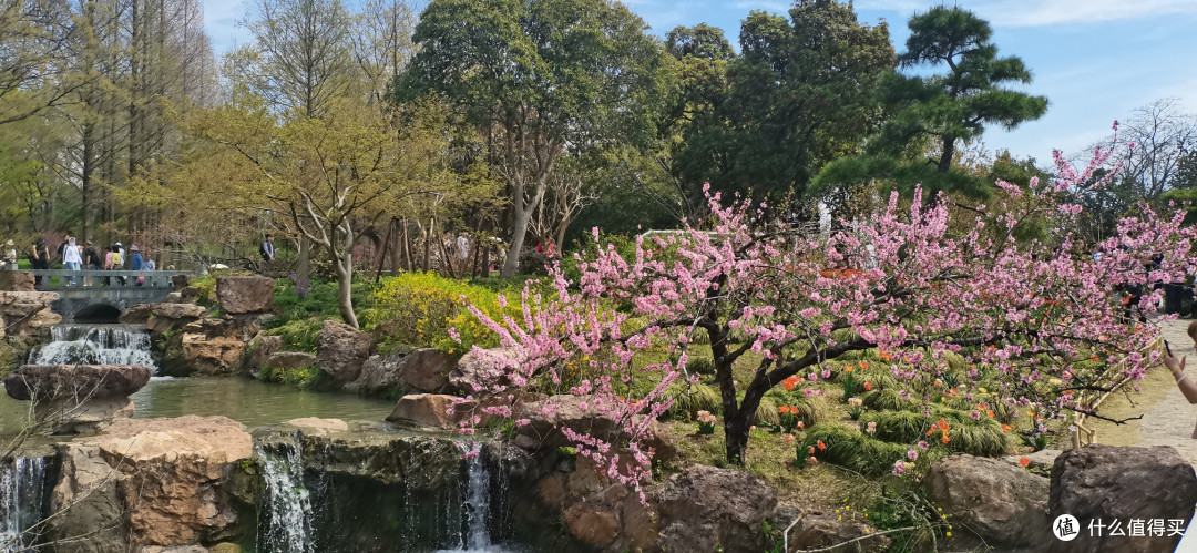 烟花三月下扬州,此时的扬州瘦西湖更是美如画
