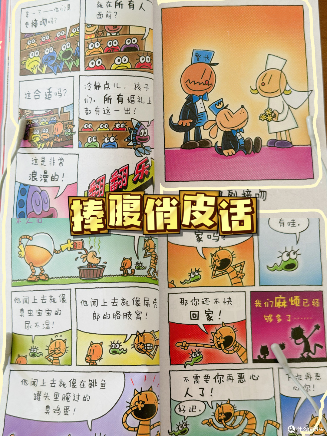|有生之年必看!神探狗狗12要点解析|