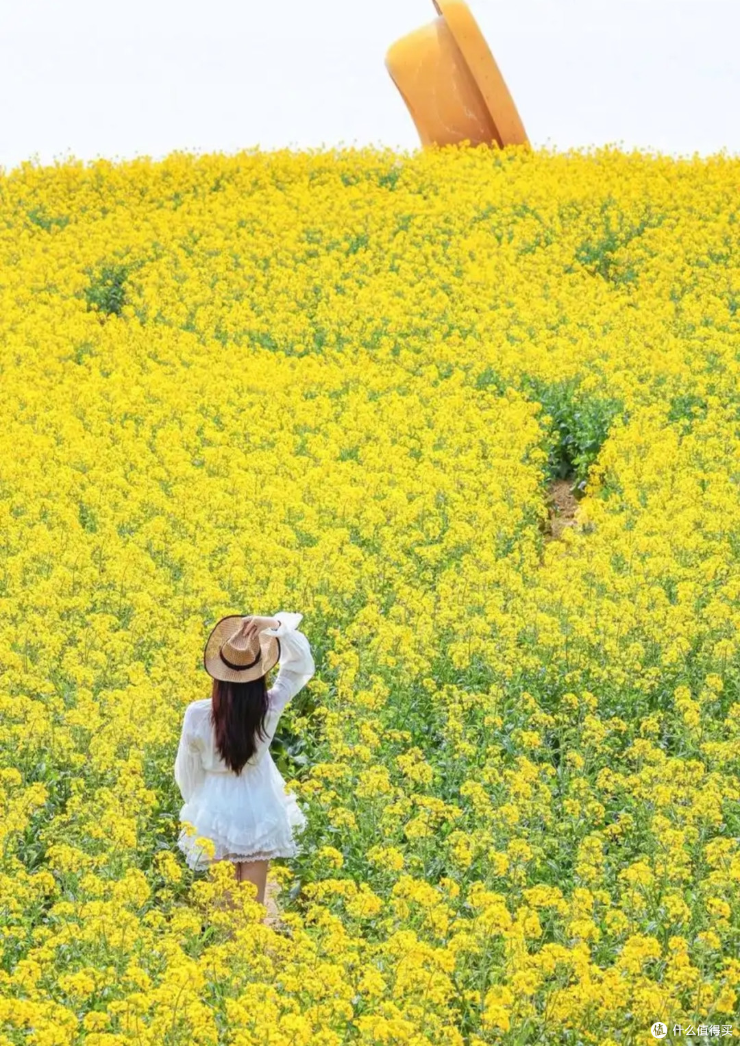 春日赏花攻略,分享各地最美花海与拍照技巧
