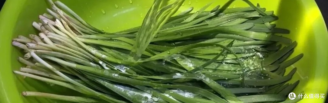 春日养生美食推荐:韭菜炒鸡蛋