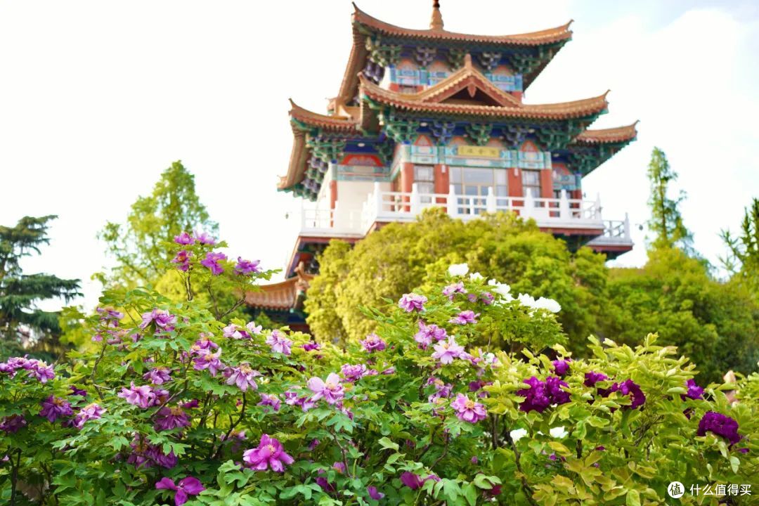 下个月,这座城市又将成为顶流