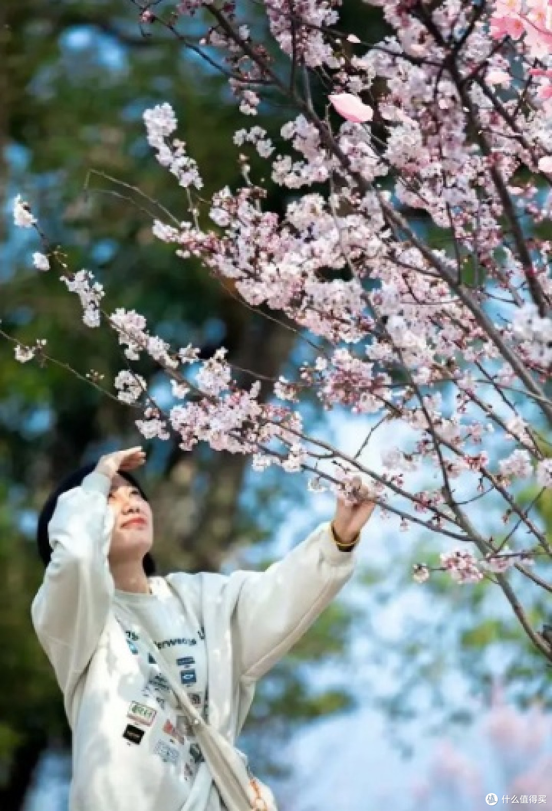春日走花路，杭州赏樱攻略：浪漫樱花季，打卡必去！