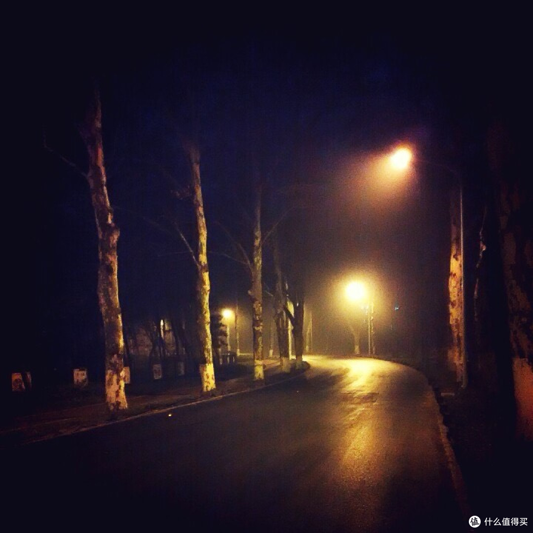春季运动谣言大揭秘:晨跑夜跑谁更优,真相原来在这里!