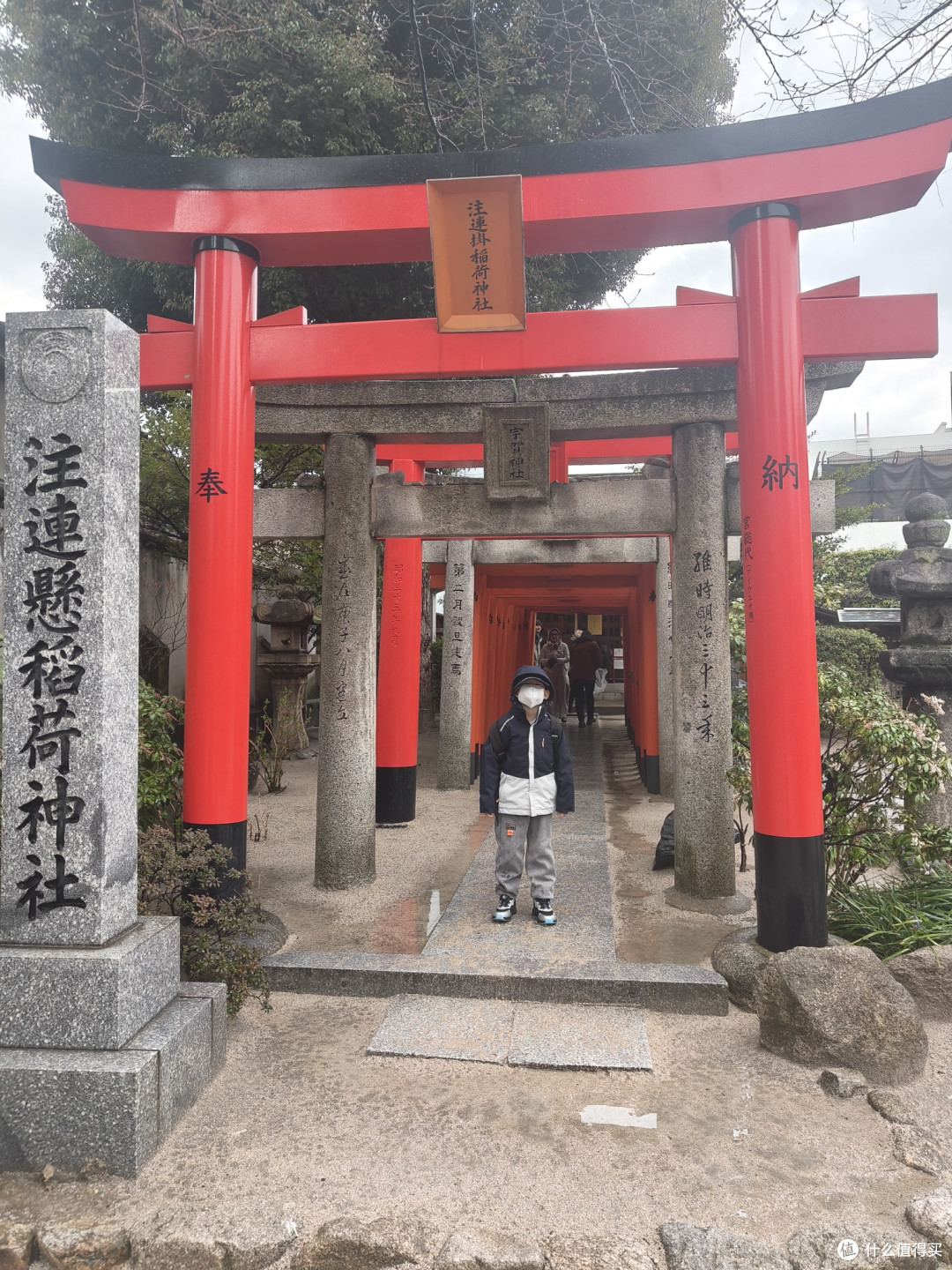 圆我儿时梦，皇家加勒比游轮初体验(三)下船日—福冈亲子一日游