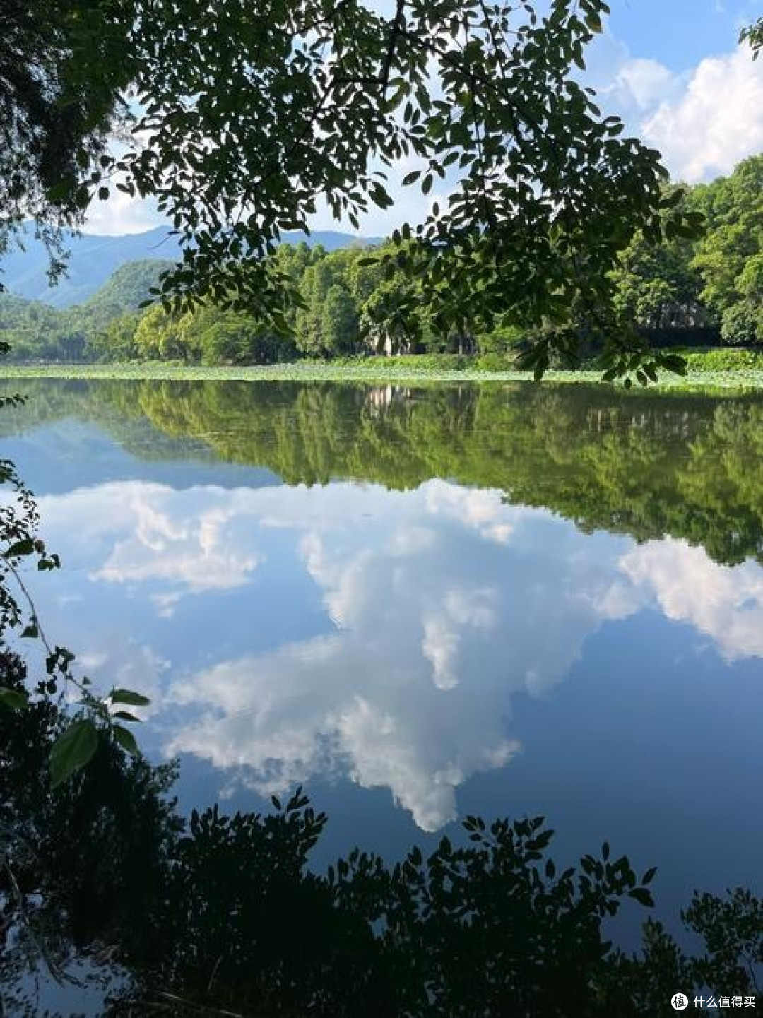 春日肇庆七星岩，邂逅岭南诗意山水