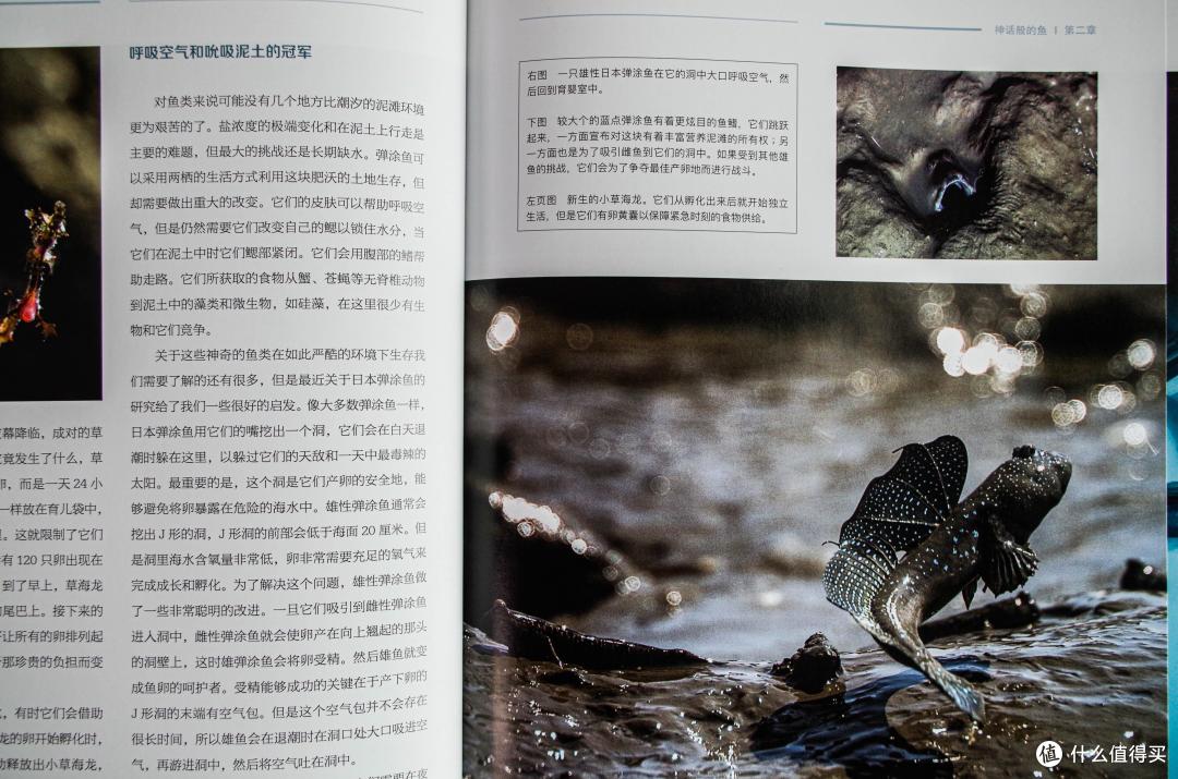5202年,为什么还在看纸书呢?兼推荐几本一定要买纸书的书