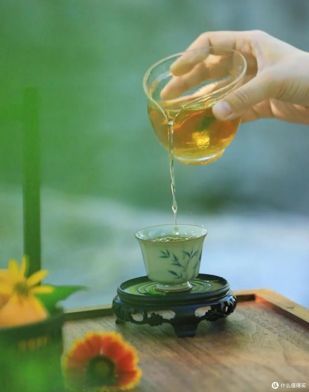 春日茶话:这些新茶不容错过