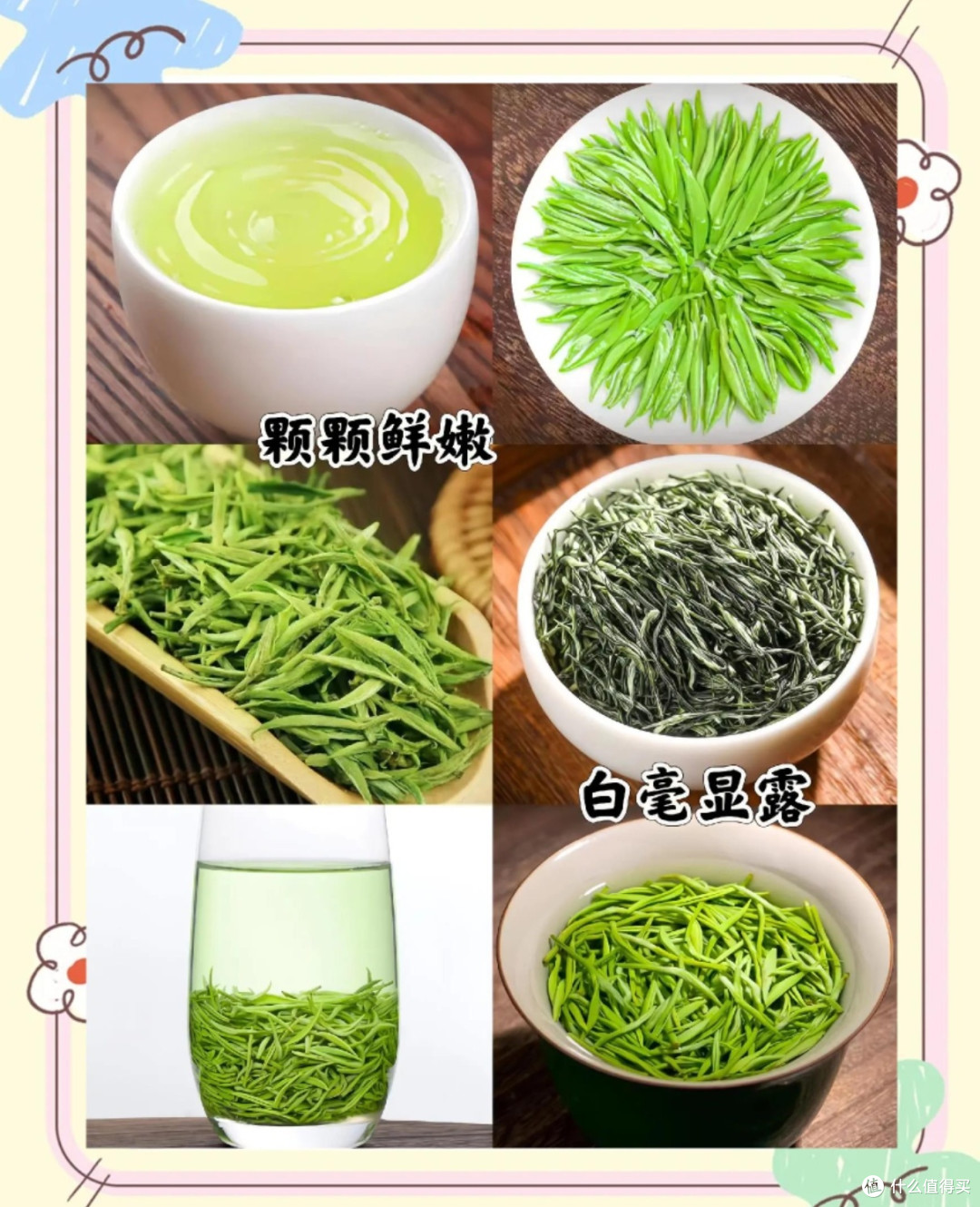 春日茶话:这些新茶不容错过