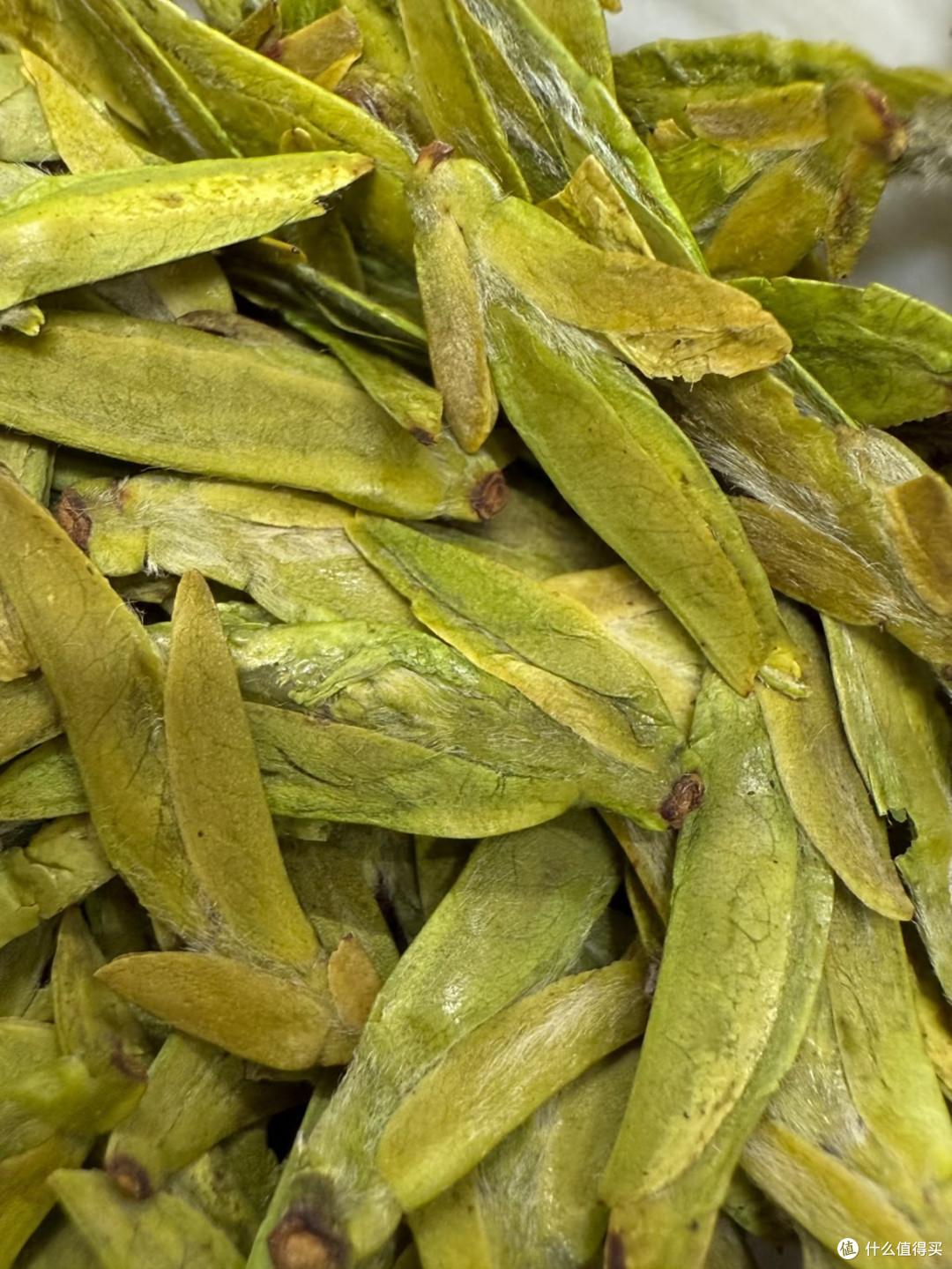 品2025龙井新茶:春之鲜醇,尽在杯中