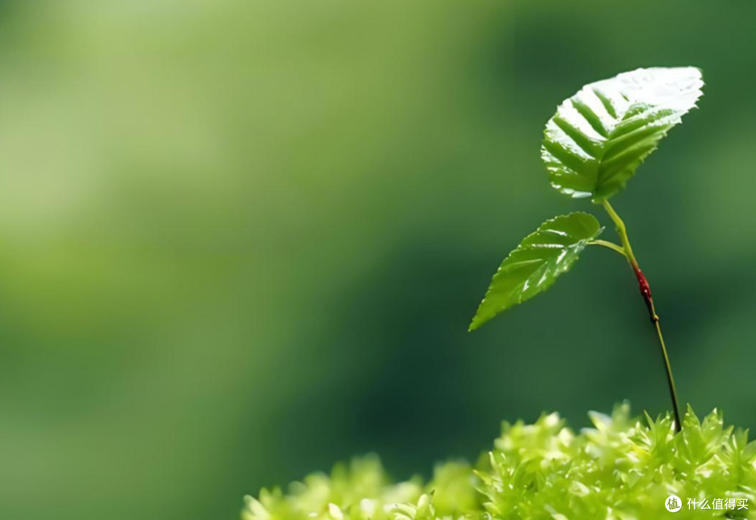 春捂秋冻，真的养生吗？揭秘背后的真相！