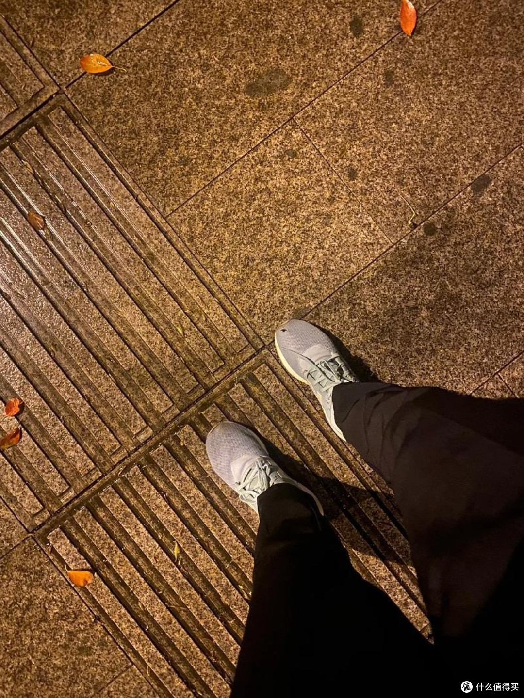 春季运动真相大起底:晨跑比夜跑更健康?
