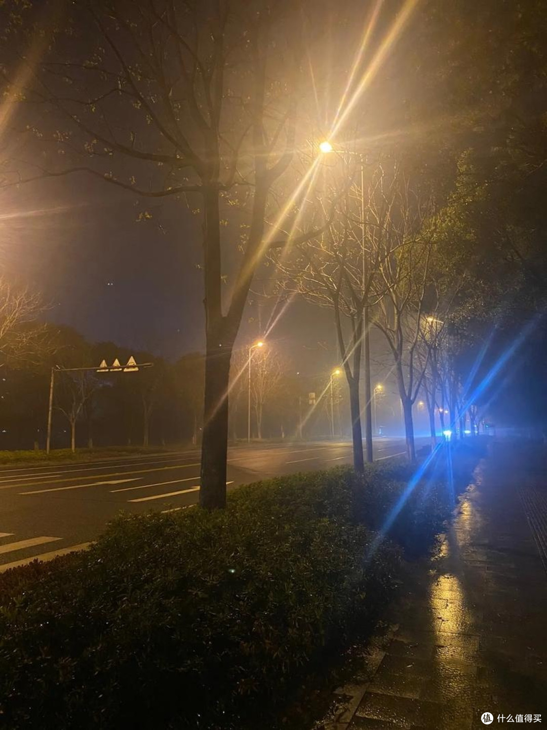 春季运动真相大起底:晨跑比夜跑更健康?