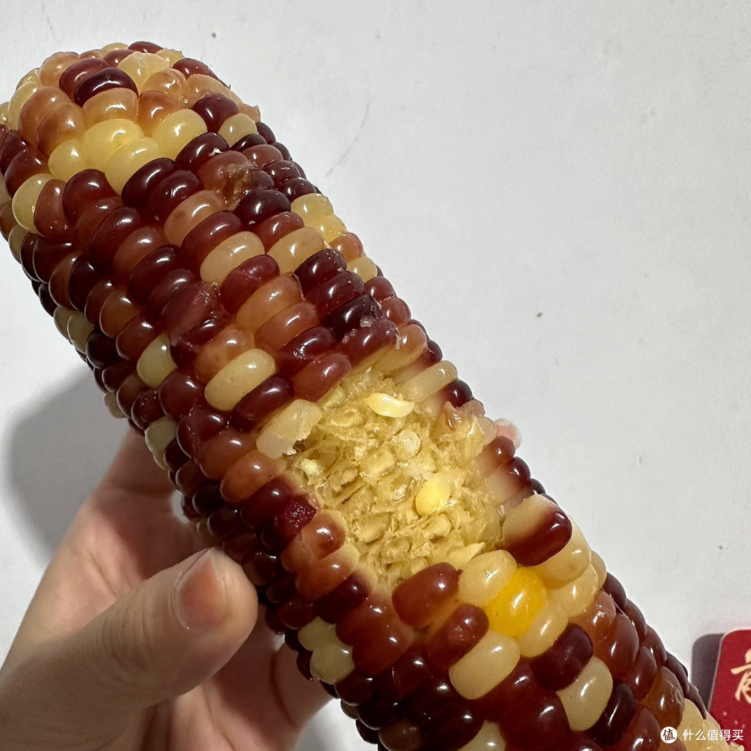 探索彩色糯玉米的奇妙世界