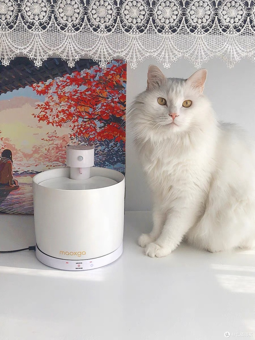 铲屎官必看!喵享家饮水机,猫咪爱上喝水的秘密武器