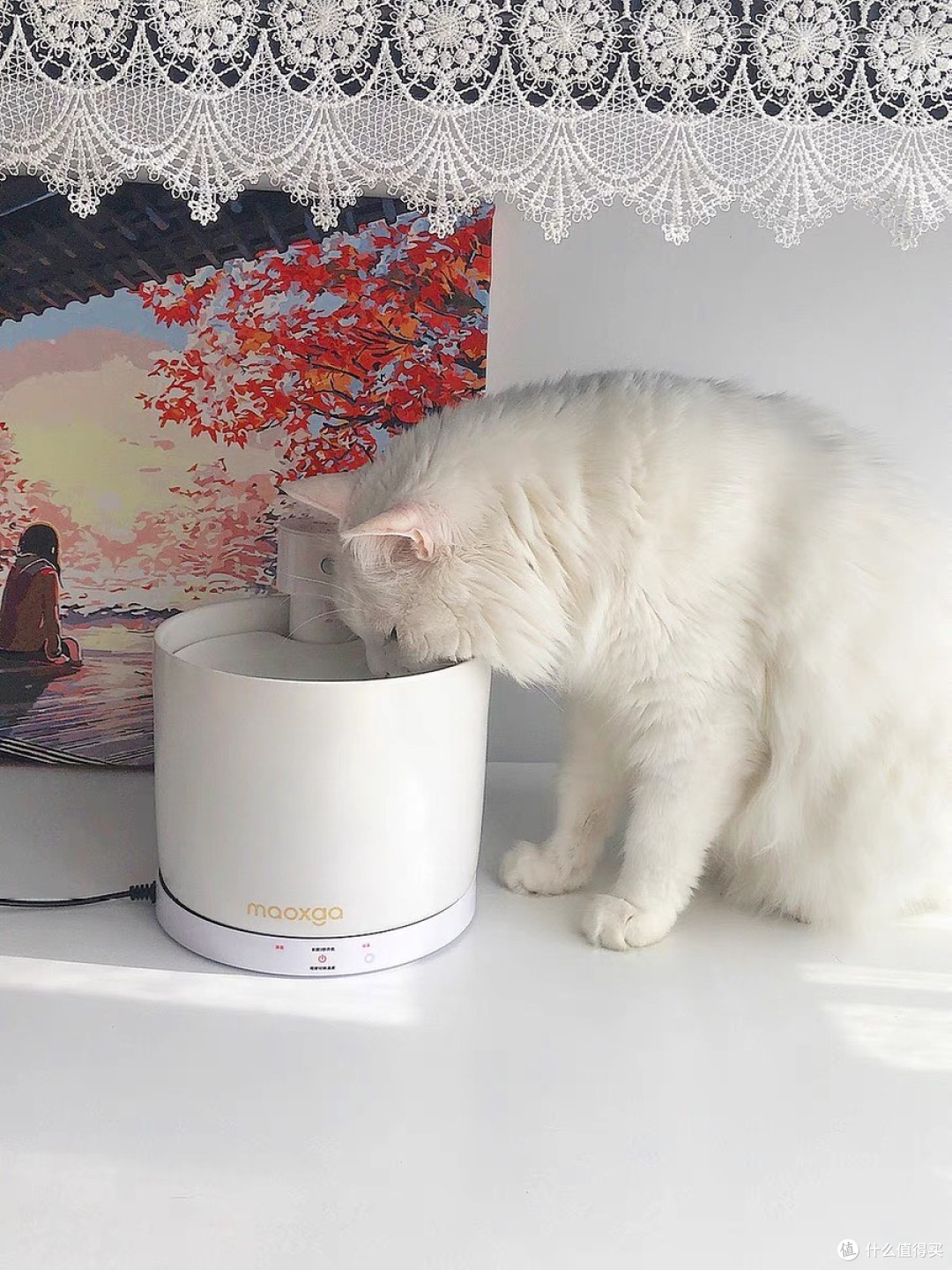 铲屎官必看!喵享家饮水机,猫咪爱上喝水的秘密武器