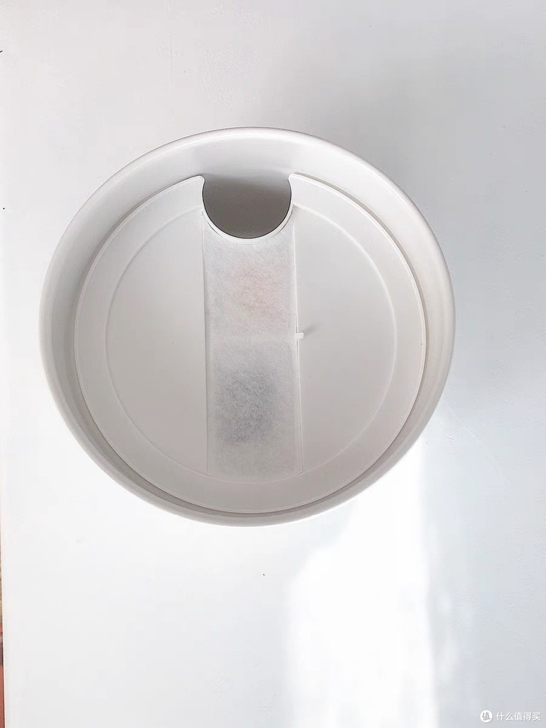 铲屎官必看!喵享家饮水机,猫咪爱上喝水的秘密武器