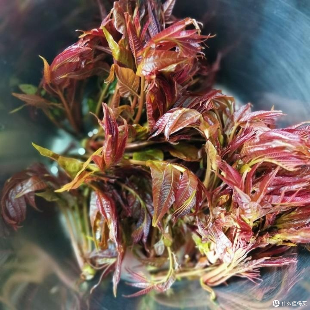 藏在春日里的舌尖宝藏:美食手账全记录