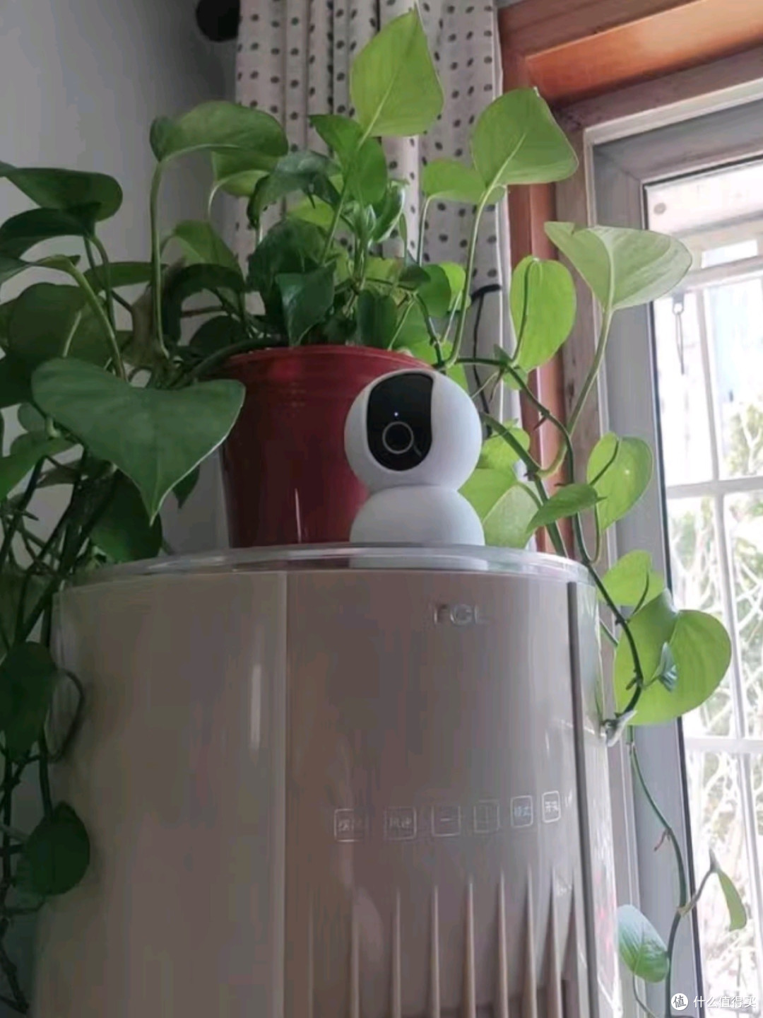 AI如何保障消费者权益:一个真实故事的分享