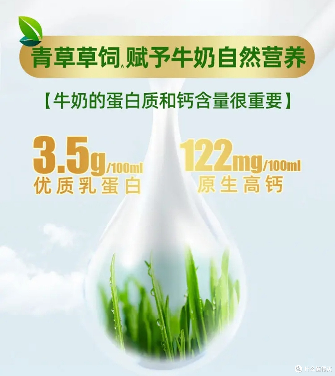 纽仕兰3.5g蛋白全脂牛奶，天然牧场好奶源！