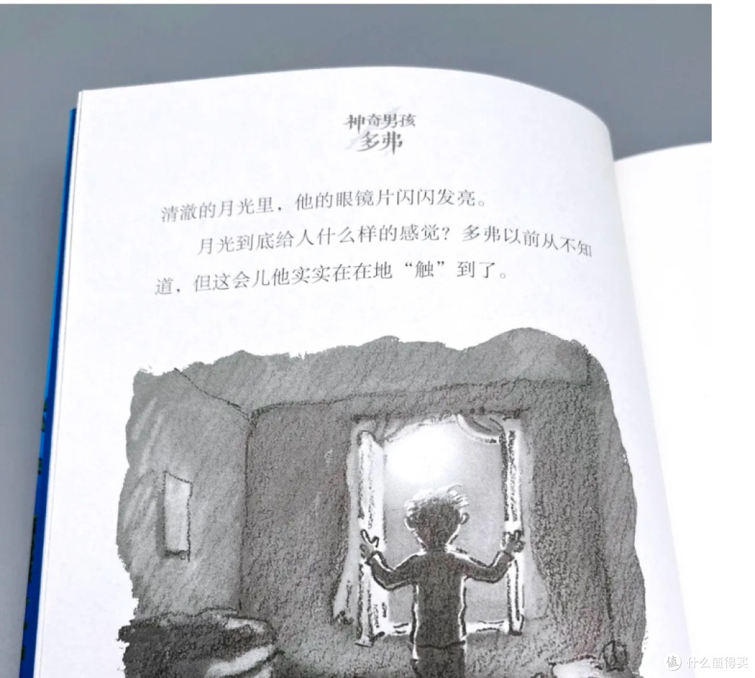 你的小狼人深夜攥书问「如果我变成怪物咋办？」请指给他看多弗发亮绒毛枕着月光踏上自我发现奇幻之旅！_儿童文学_什么值得买