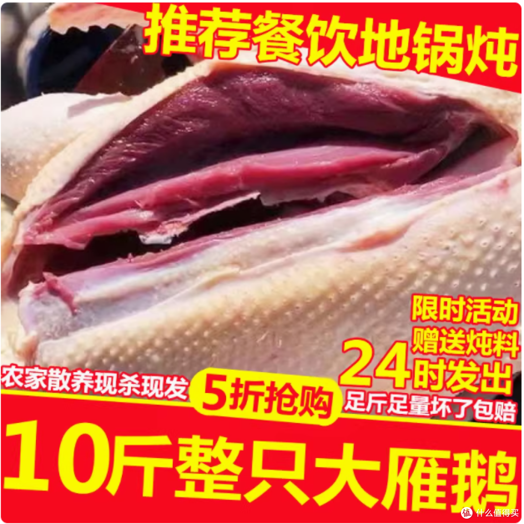 整只 10 斤大雁鹅:手工精拔,散养至臻