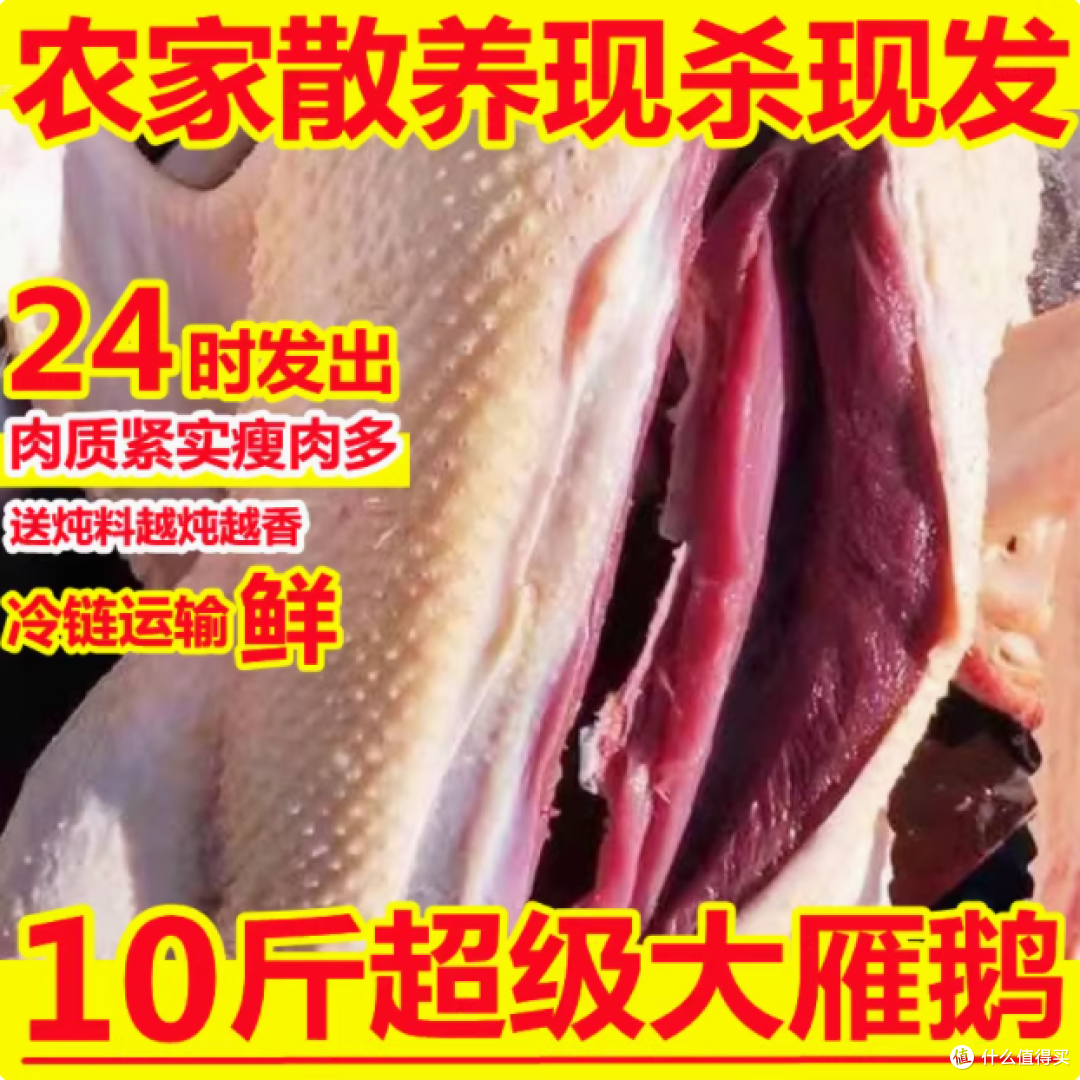 整只 10 斤大雁鹅:手工精拔,散养至臻