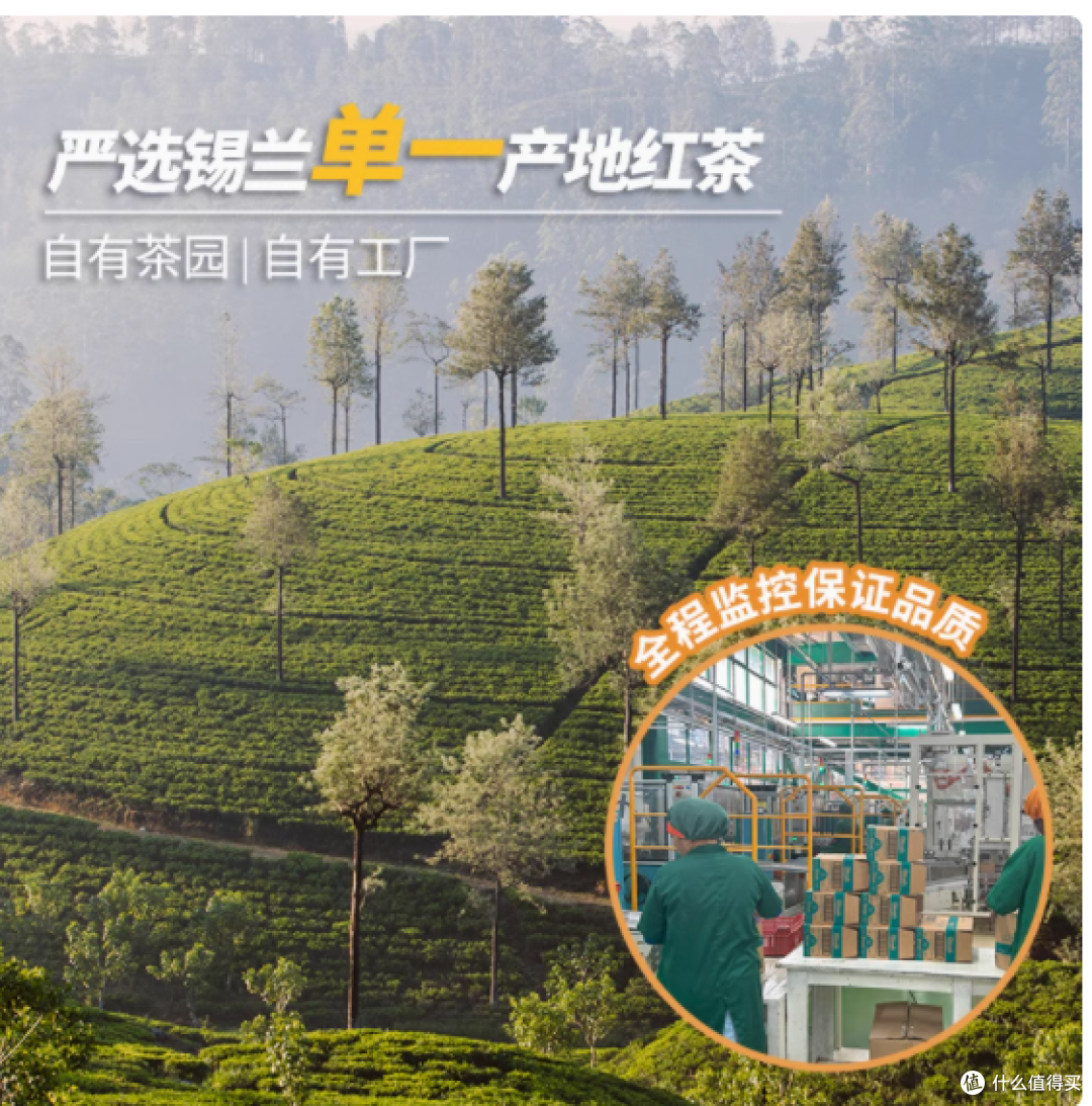 品味锡兰风情:Dilmah 斯里兰卡进口伯爵红茶