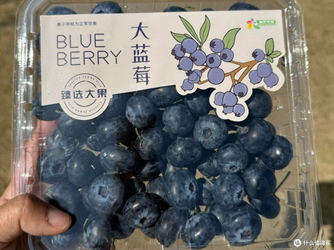 春日周末露营,就是吃吃喝喝,好开心!