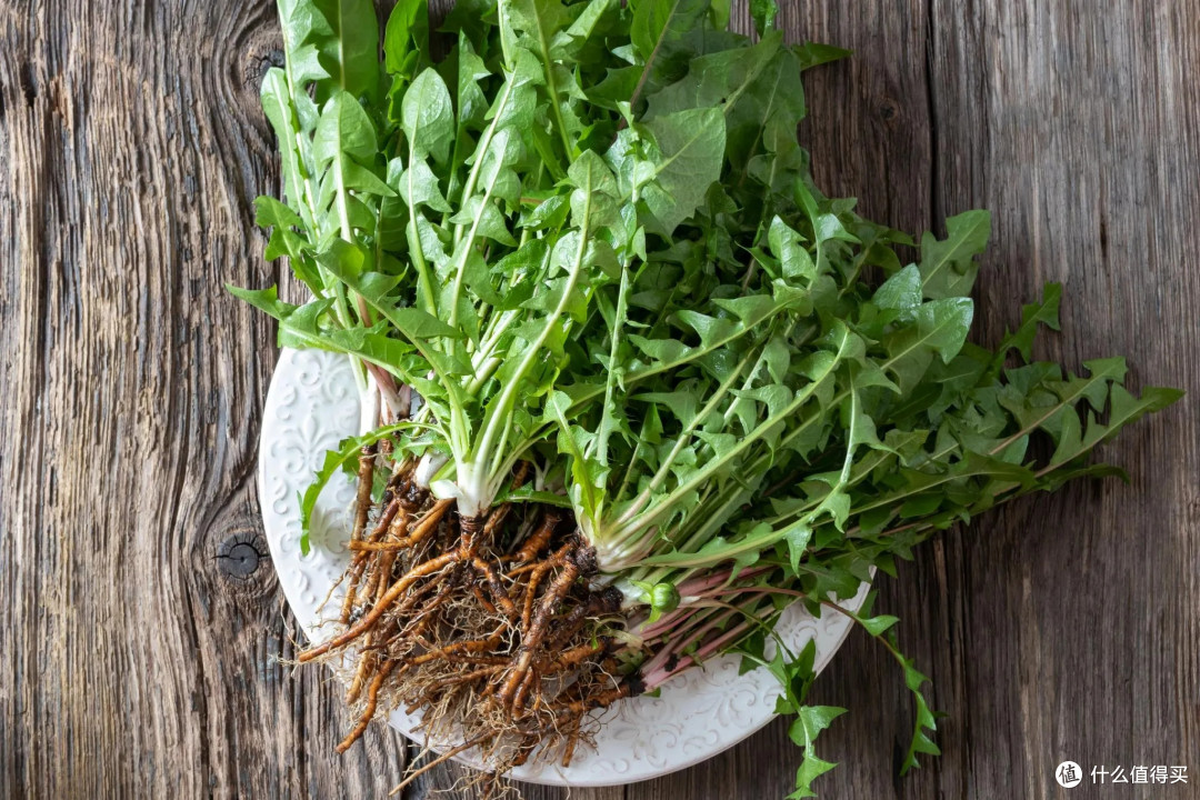 春日食单:婆婆丁的清新物语