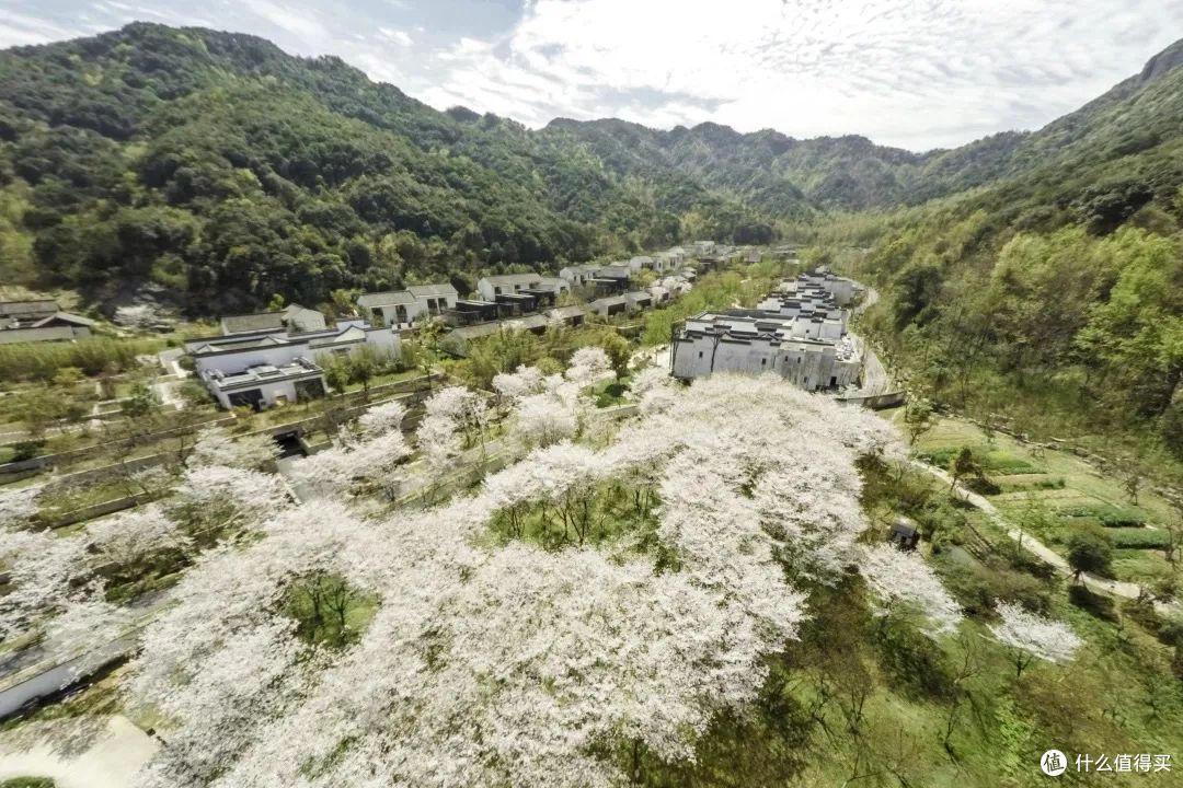 浙江人的春游赏花自留地，还得是这座温柔古城！