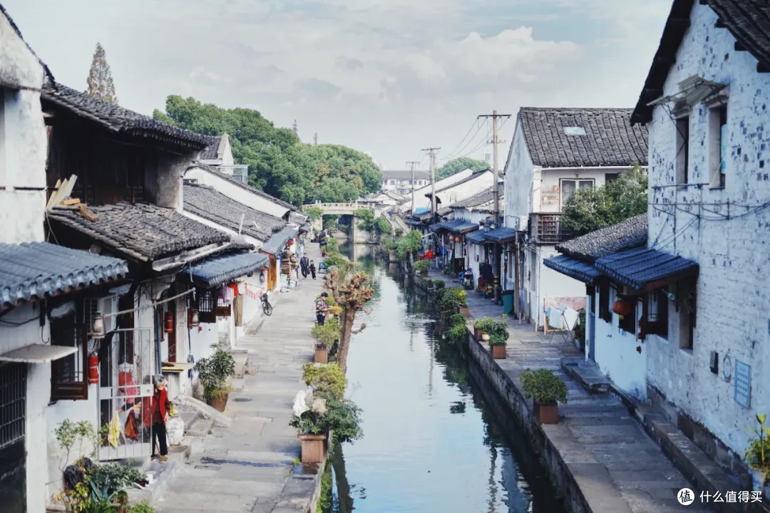 浙江人的春游赏花自留地，还得是这座温柔古城！