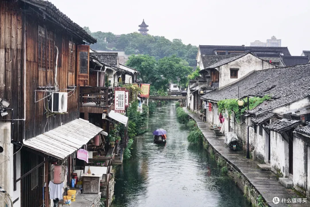 浙江人的春游赏花自留地，还得是这座温柔古城！